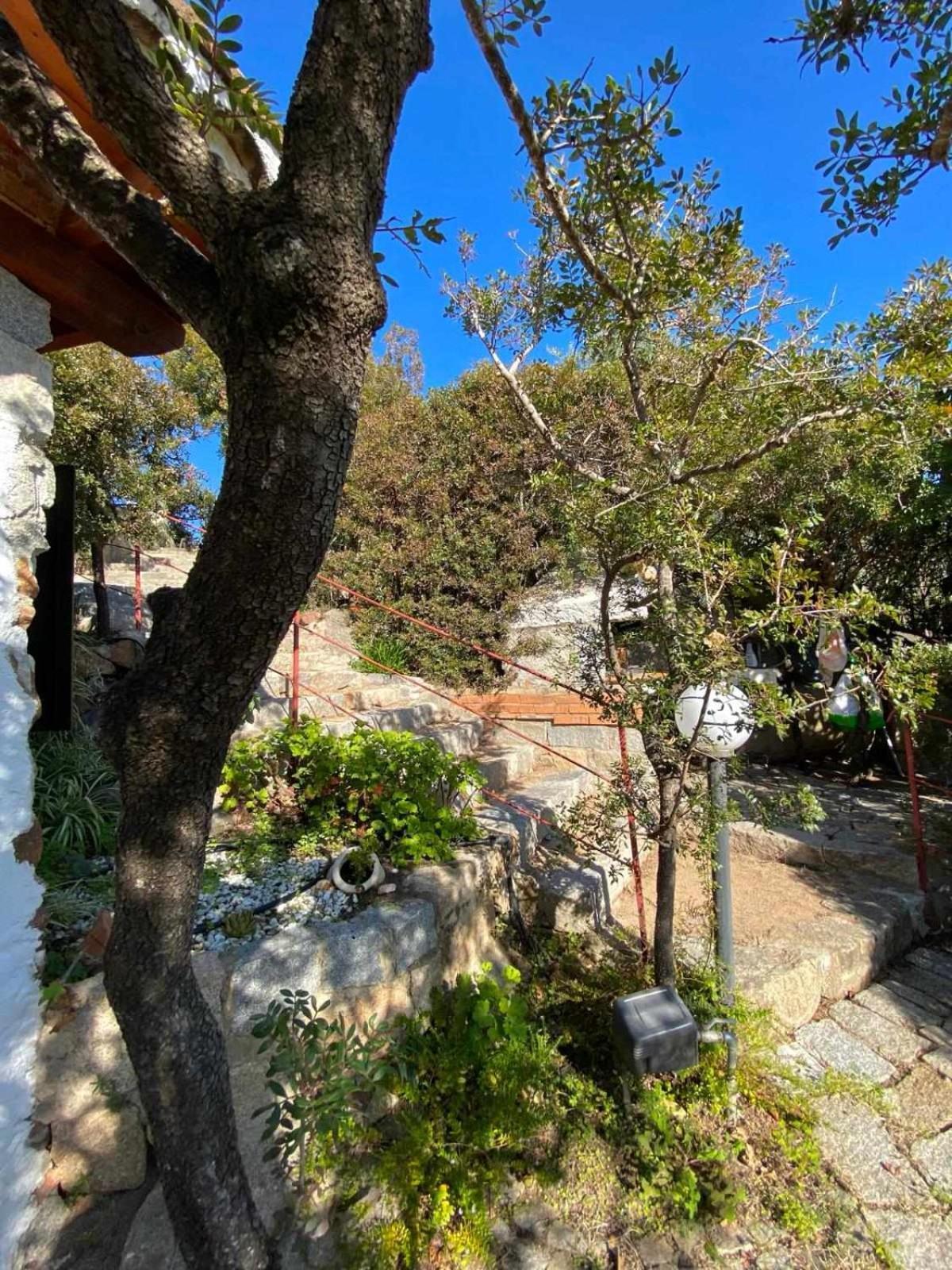 Villa Sa Domu De Orri Al Mare à Tortolì Extérieur photo